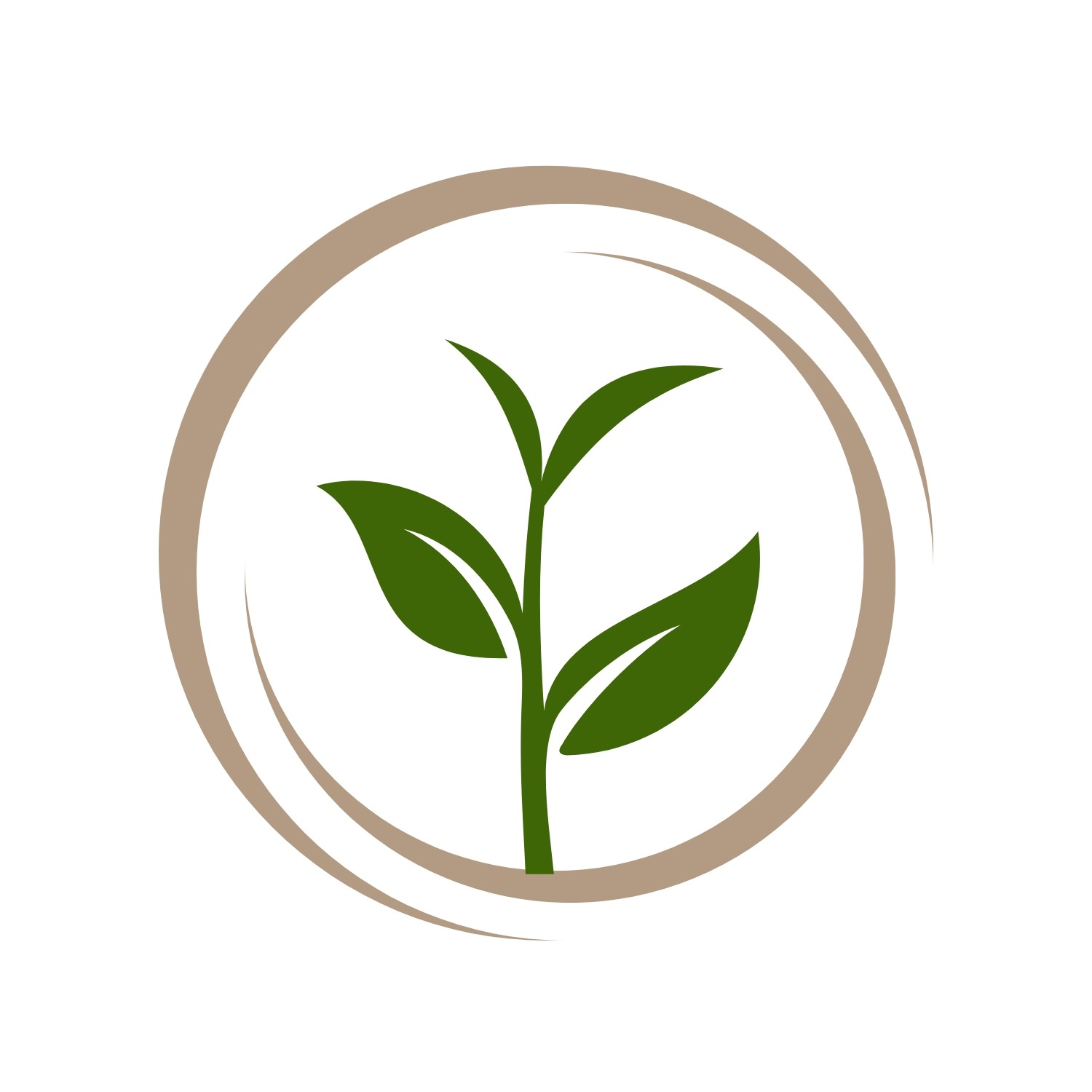 Nisi Services